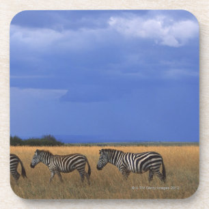 GrantZebra 2 Untersetzer