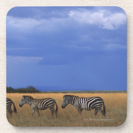 GrantZebra 2 Untersetzer (Vorderseite)