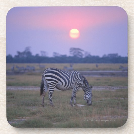 GrantZebra 3 Getränkeuntersetzer (Vorderseite)