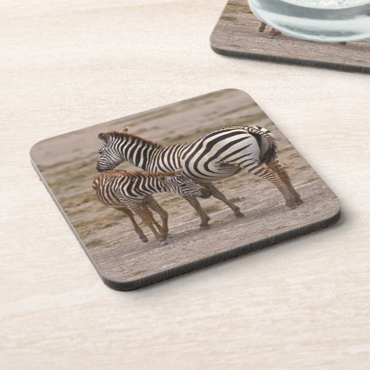 GrantZebra 3 Getränkeuntersetzer (Linke Seite)