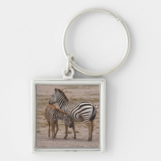 GrantZebra 3 Schlüsselanhänger (Vorne)