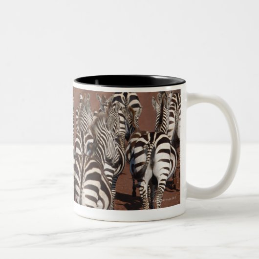 GrantZebra 4 Zweifarbige Tasse (Rechts)