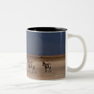 GrantZebra 4 Zweifarbige Tasse