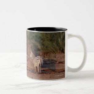 GrantZebra 5 Zweifarbige Tasse