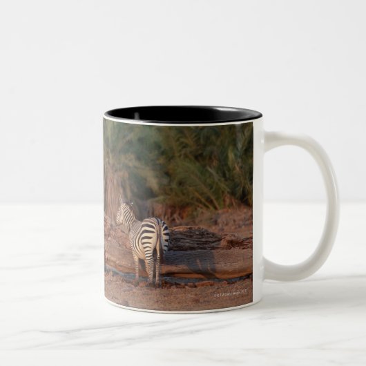 GrantZebra 5 Zweifarbige Tasse (Rechts)