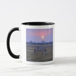 GrantZebra 6 Tasse