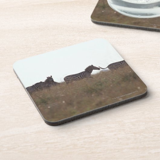 GrantZebra 7 Getränkeuntersetzer (Linke Seite)