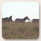 GrantZebra 7 Getränkeuntersetzer (Vorderseite)