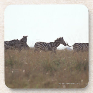 GrantZebra 7 Getränkeuntersetzer