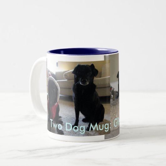 GRAP 2010 Blau Zweifarbige Tasse (Vorderseite Links)