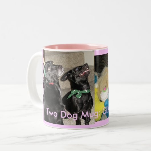 GRAP 2010 Rosa Zweifarbige Tasse (Vorderseite Links)