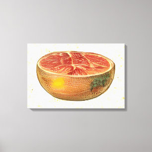 Grapefruit Leinwanddruck