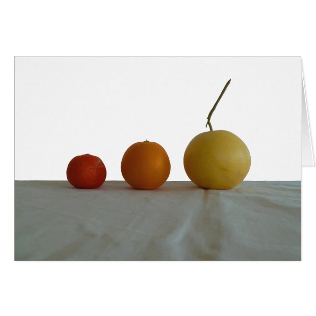 Grapefruit, Orange und Mandarine Stillleben (Vorderseite (Horizontal))