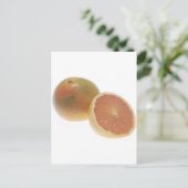 Grapefruit Postkarte (Stehend Vorderseite)