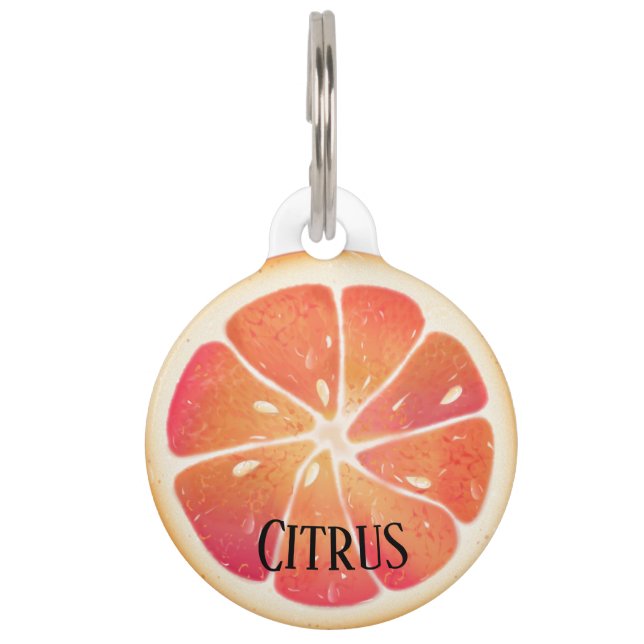 Grapefruit Zitrusfrüchte Personalisiert Haustiermarke (Vorderseite)