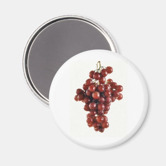 GRAPEN MAGNET (Vorderseite/Rückseite)