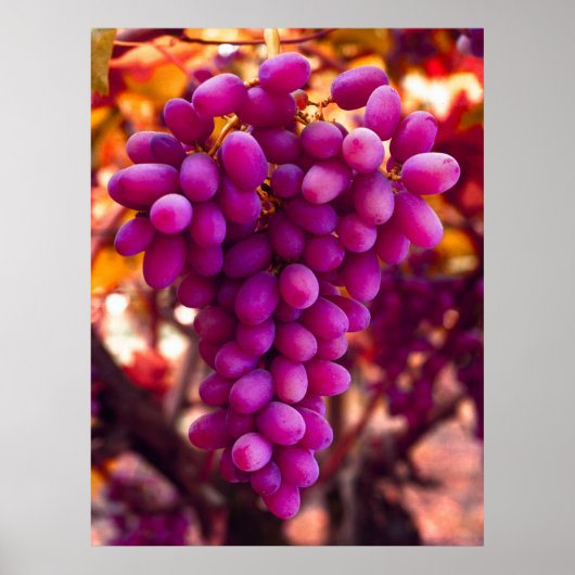 Grapes Chavez Symbol Poster (Vorne)