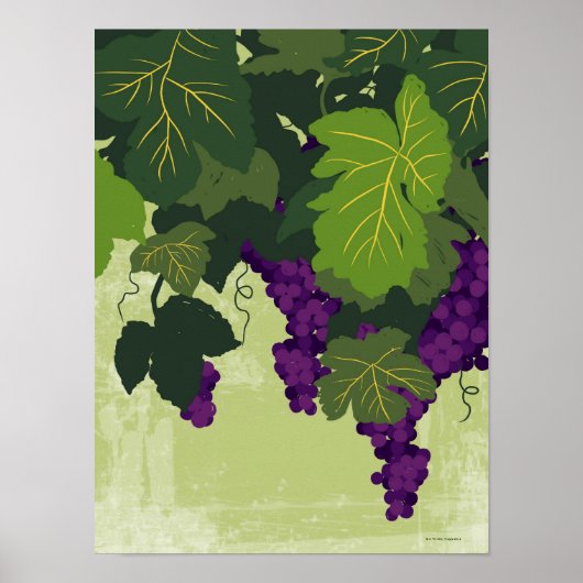 Grapes on the Vine Poster (Vorne)