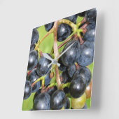 Grapes Wall Clock Quadratische Wanduhr (Winkel)