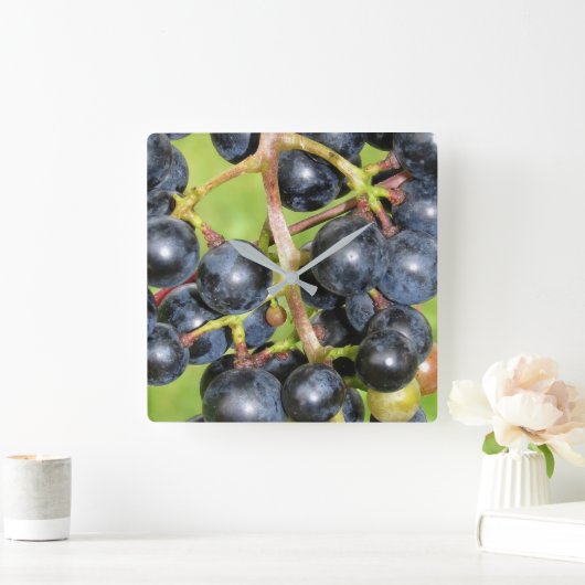 Grapes Wall Clock Quadratische Wanduhr (Zuhause)