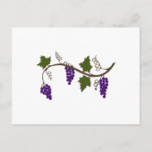 GRAPEVIN POSTKARTE (Vorderseite)