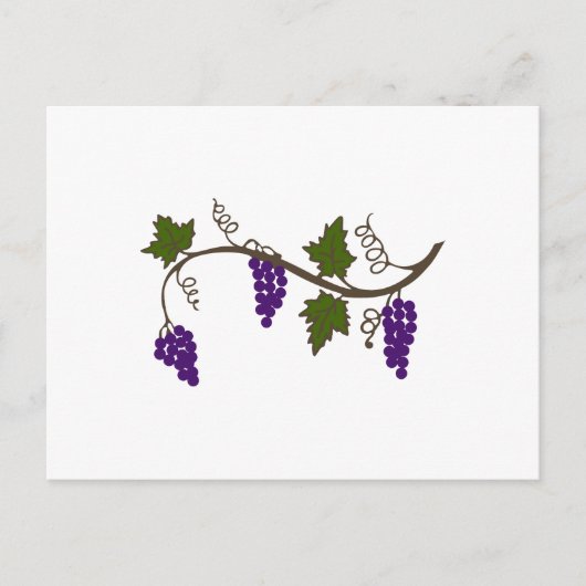 GRAPEVIN POSTKARTE (Vorderseite)