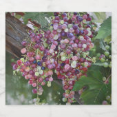 Grapevine Abundance — Hyperrealistisches botanisch Schaumweinetikett (Einzelnes Label)