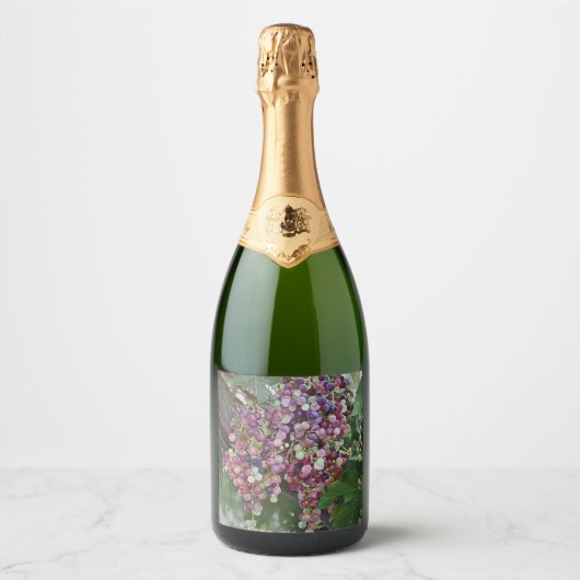 Grapevine Abundance — Hyperrealistisches botanisch Schaumweinetikett (Vorderseite)