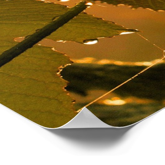 Grapevine & Dewdrops bei Sunrise-Inspirational Poster (Ecke)