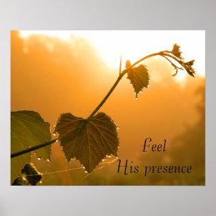 Grapevine & Dewdrops bei Sunrise-Inspirational Poster