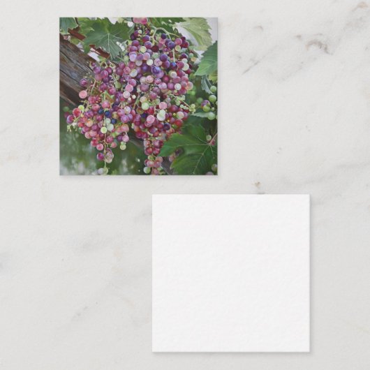 Grapevine Glorie — Hyperrealistische Weinbaukunst Begleitkarte (Vorne/Hinten)