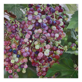Grapevine Glorie — Hyperrealistische Weinbaukunst Poster
