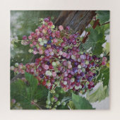Grapevine Glorie — Hyperrealistische Weinbaukunst  Puzzle (Horizontal)