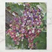 Grapevine Glorie — Hyperrealistische Weinbaukunst Weinetikett (Einzelnes Label)