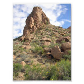 Grapevine Hills Rock Tower, Texas Fotodruck (Vorne)