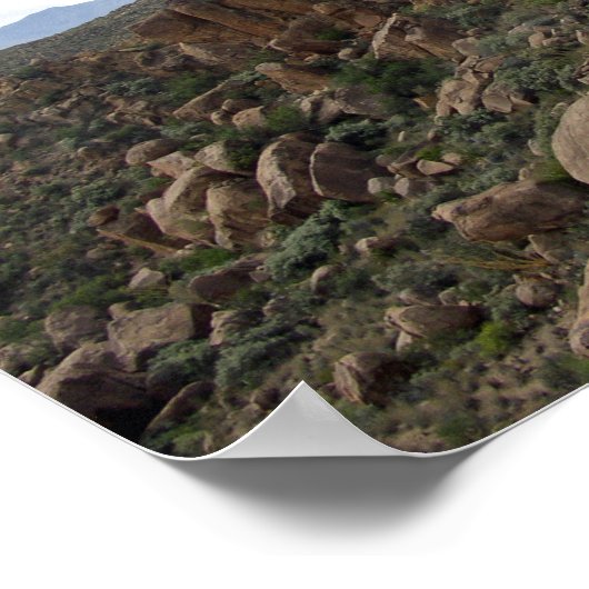 Grapevine Hills Rocks & Chisos Mountains, Texas Poster (Ecke)