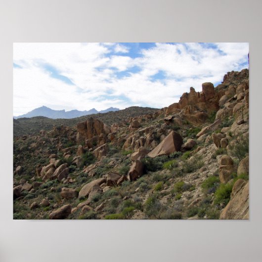 Grapevine Hills Rocks & Chisos Mountains, Texas Poster (Vorne)