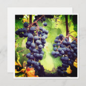 Grapevine Note Card (Vorne/Hinten)
