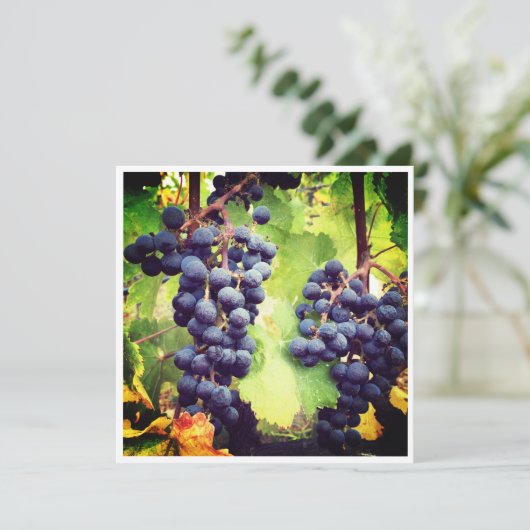Grapevine Note Card (Stehend Vorderseite)