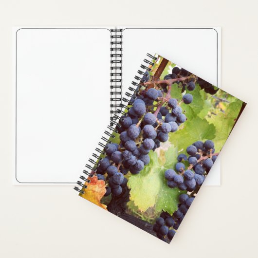 Grapevine Notebook (Hardcover) Notizblock (Innen)