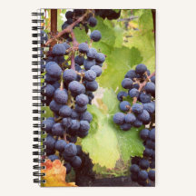Grapevine Notebook (Hardcover)