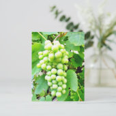 Grapevine Postkarte (Stehend Vorderseite)