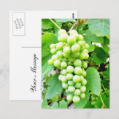 Grapevine Postkarte (Vorne/Hinten)