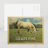 Grapevine Texas Horse Farm - Vintage Travel Postkarte (Vorne/Hinten)