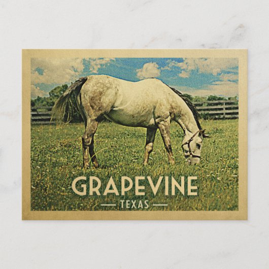 Grapevine Texas Horse Farm - Vintage Travel Postkarte (Vorderseite)