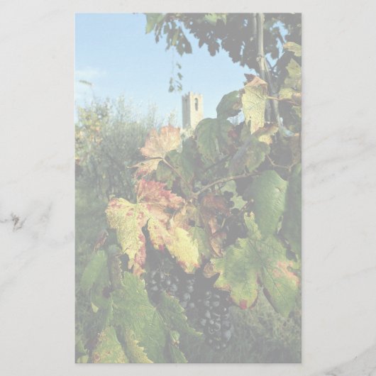 Grapevine, Toskana, Italien Briefpapier (Vorderseite)