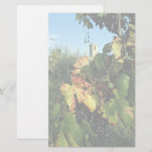 Grapevine, Toskana, Italien Briefpapier (Vorne/Hinten)