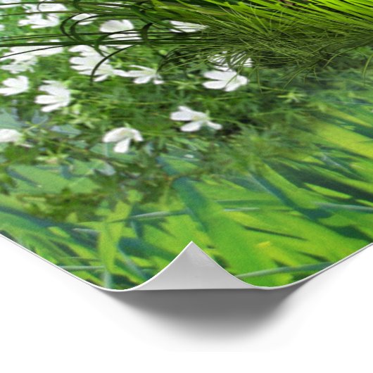 Grapevinen, Honeysuckles & Hummingbirds Poster (Ecke)