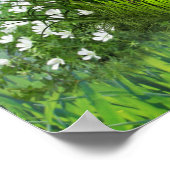 Grapevinen, Honeysuckles & Hummingbirds Poster (Ecke)