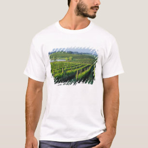 Grapevinen in feinen Reihen im Napa in Kalifornien T-Shirt